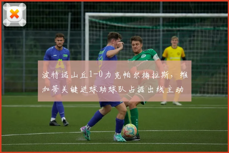 波特诺山丘1-0力克帕尔梅拉斯,维加蒂关键进球助球队占据出线主动 _ 附战术解析